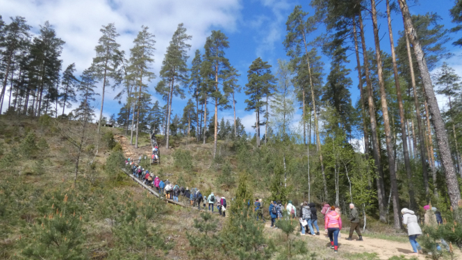 Cilvēku grupa zosu gājienā pa taku kāpj stāvā kāpā
