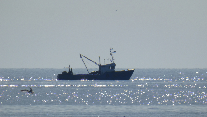 zvejas kuģis jūrā