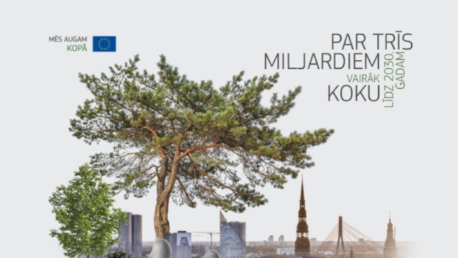 Akcijas grafiskais plakāts - plaukstā tur plaukstošu koku