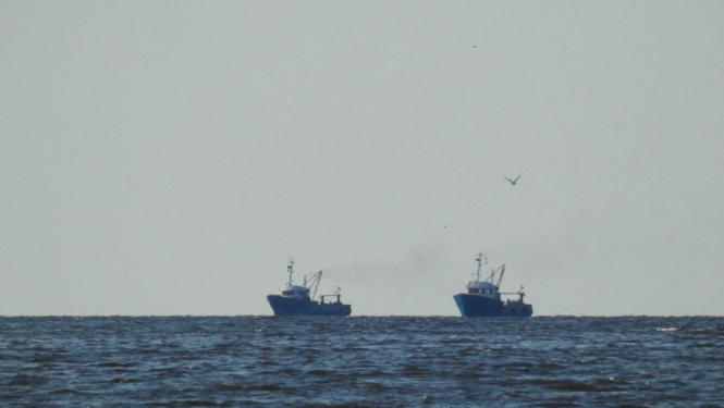 Zvejas kuģi tālu jūrā pie horizonta 