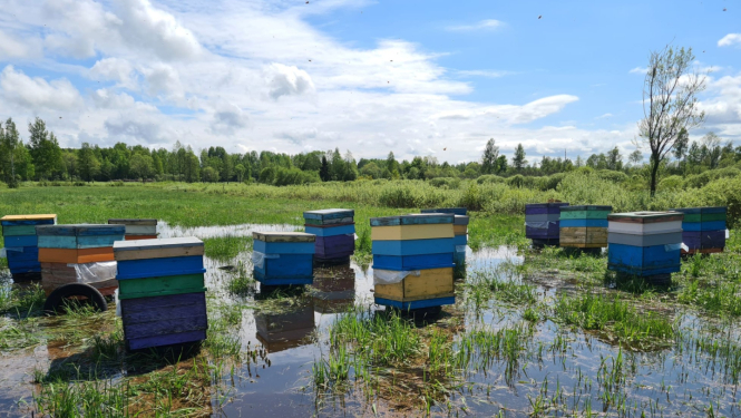 Bišu stropli ūdenī, plūdi dravā 