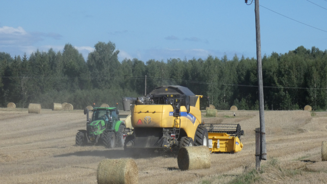 Tehnika uz lauka vāc labību 