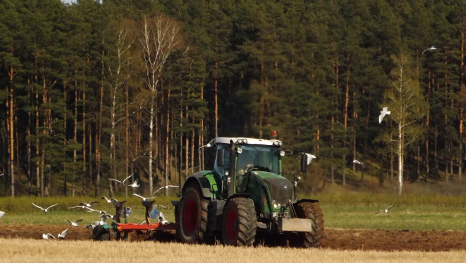 Traktors apar lauku pavasarī