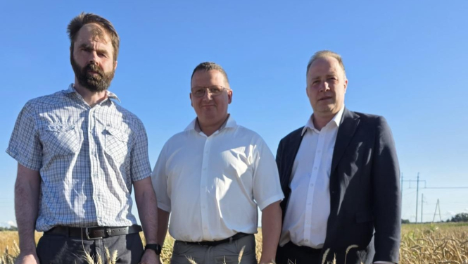 Ģ. Krūmiņš un L, Sisenis graudu laukā.