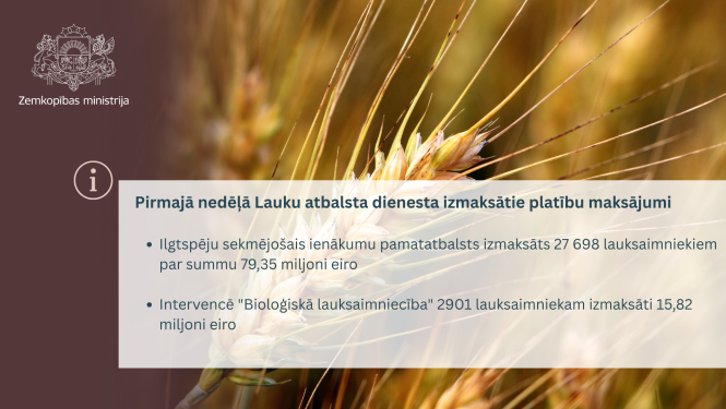 Vizuālis ar tekstā minēto informāciju