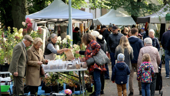 Attēlā redzams stādu tirdziņš Bulduru tehnikumā