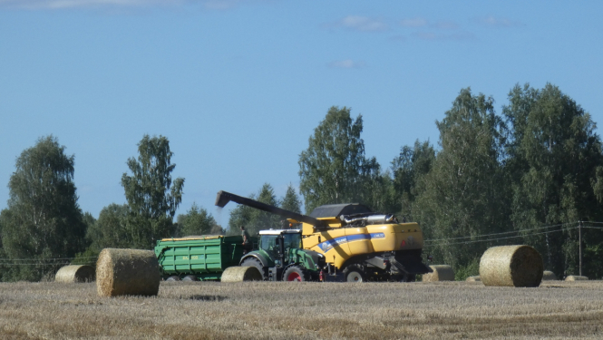 Saimniecība un lauks