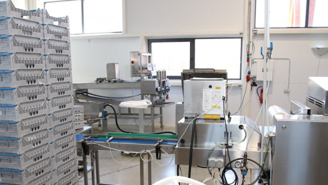 Siera ražošanas mūsdienīga līnija kādā no Latvijas reģionu uzņēmumiem