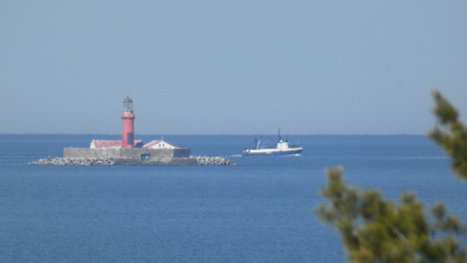 Bāka jūrā un mazlaiva