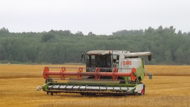 Kombains novāc ražu