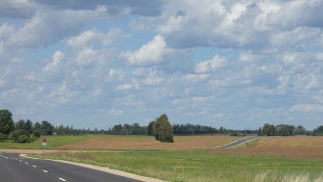 Zaļi lauki un kopts asfaltēts ceļš