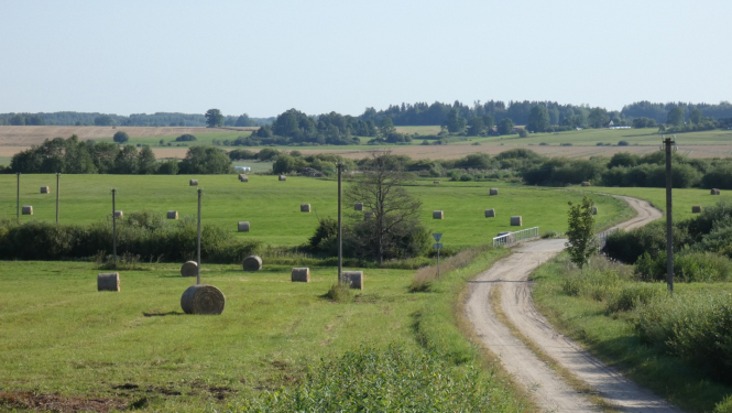 Mozaīkveida lauksaimnieciskā ainava vasarā ar nelielām druvām, pļavām, ganībām, zemnieku sētu un lauku ceļu pāri Susējas upei