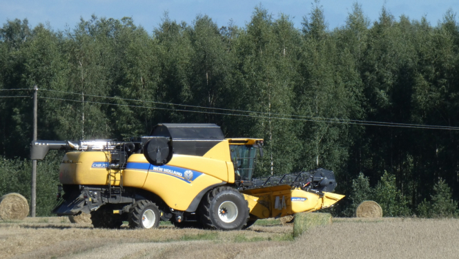 kombains augustā kuļ labību druvā