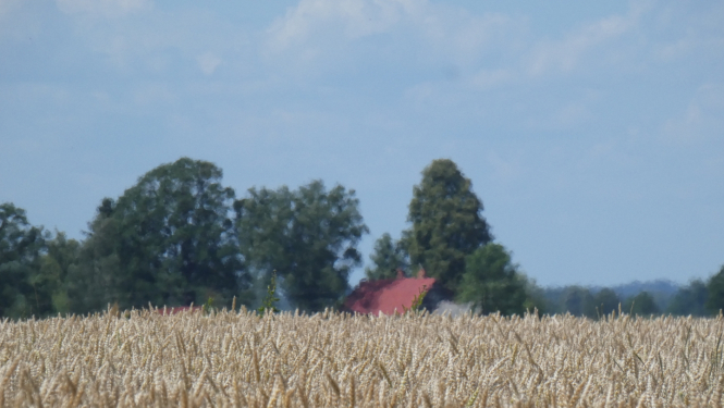 Saimniecība un lauks