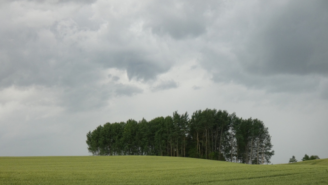 tiesibu_aktu_izmainas2023