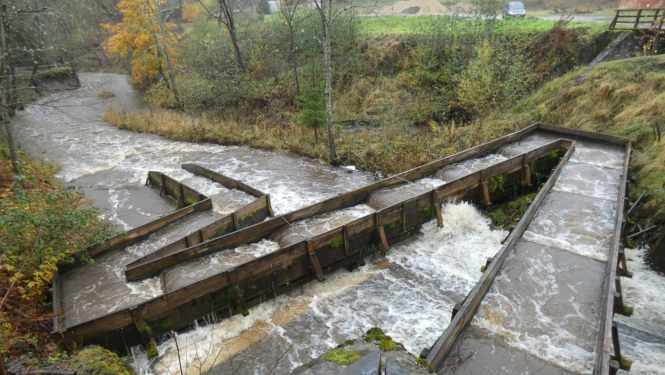 Zivju migrācijas ceļš