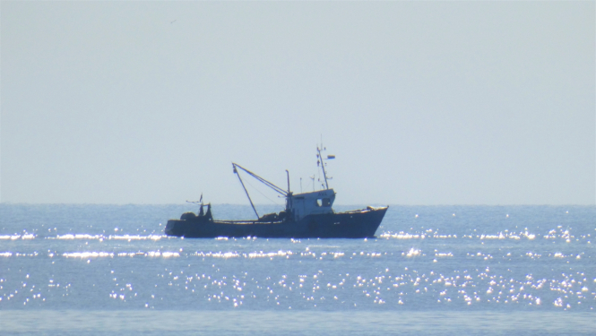 Zvejas kuģis