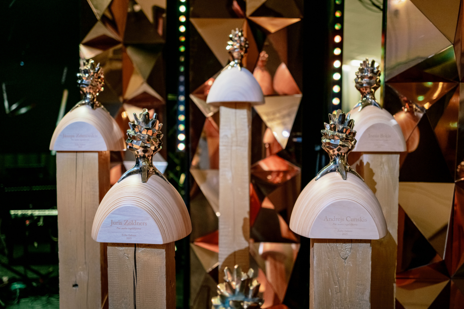 Meža nozares Gada balvas “Zelta čiekurs 2025” apbalvošanas ceremonijas foto