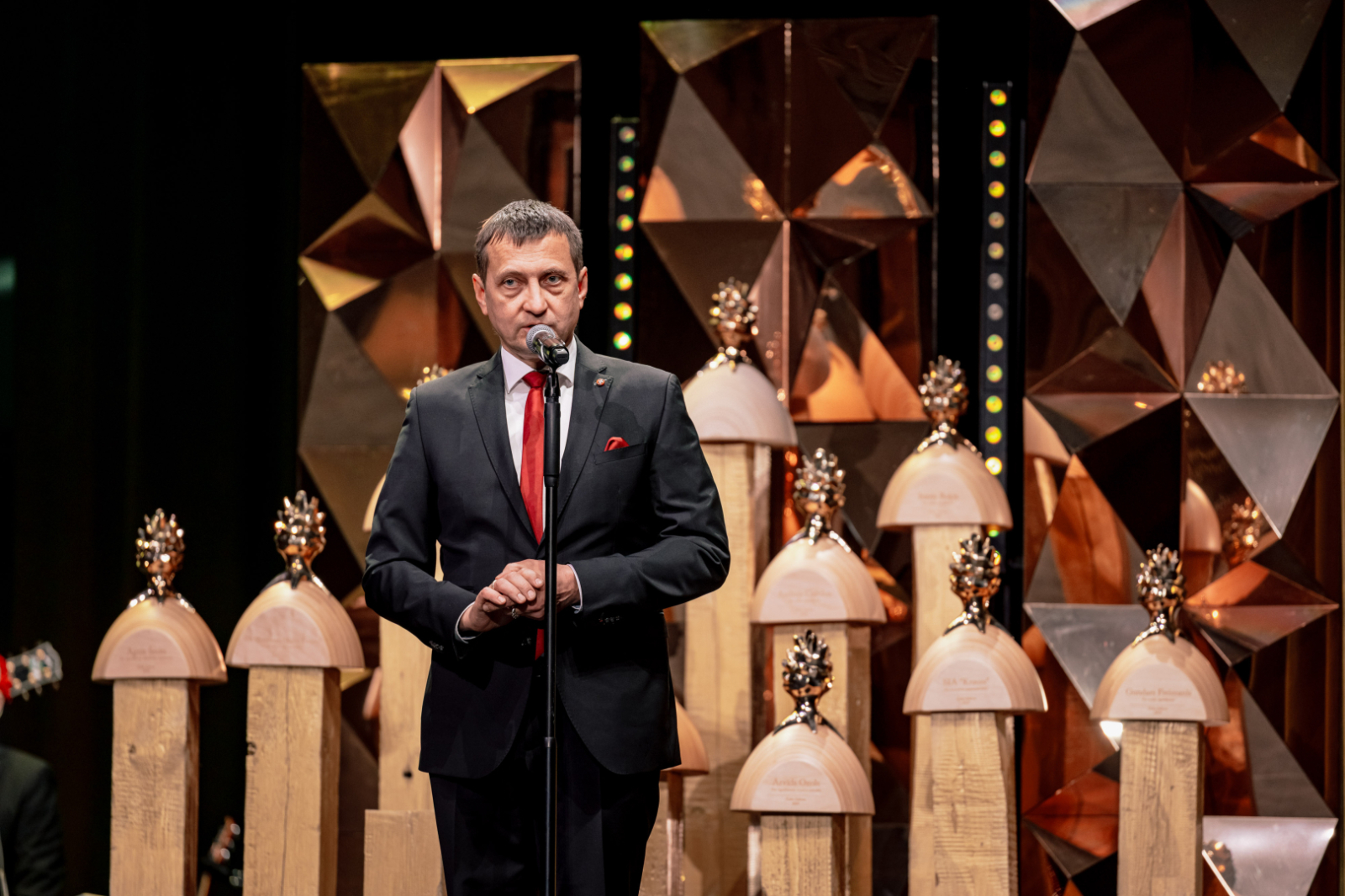 Meža nozares Gada balvas “Zelta čiekurs 2025” apbalvošanas ceremonijas foto