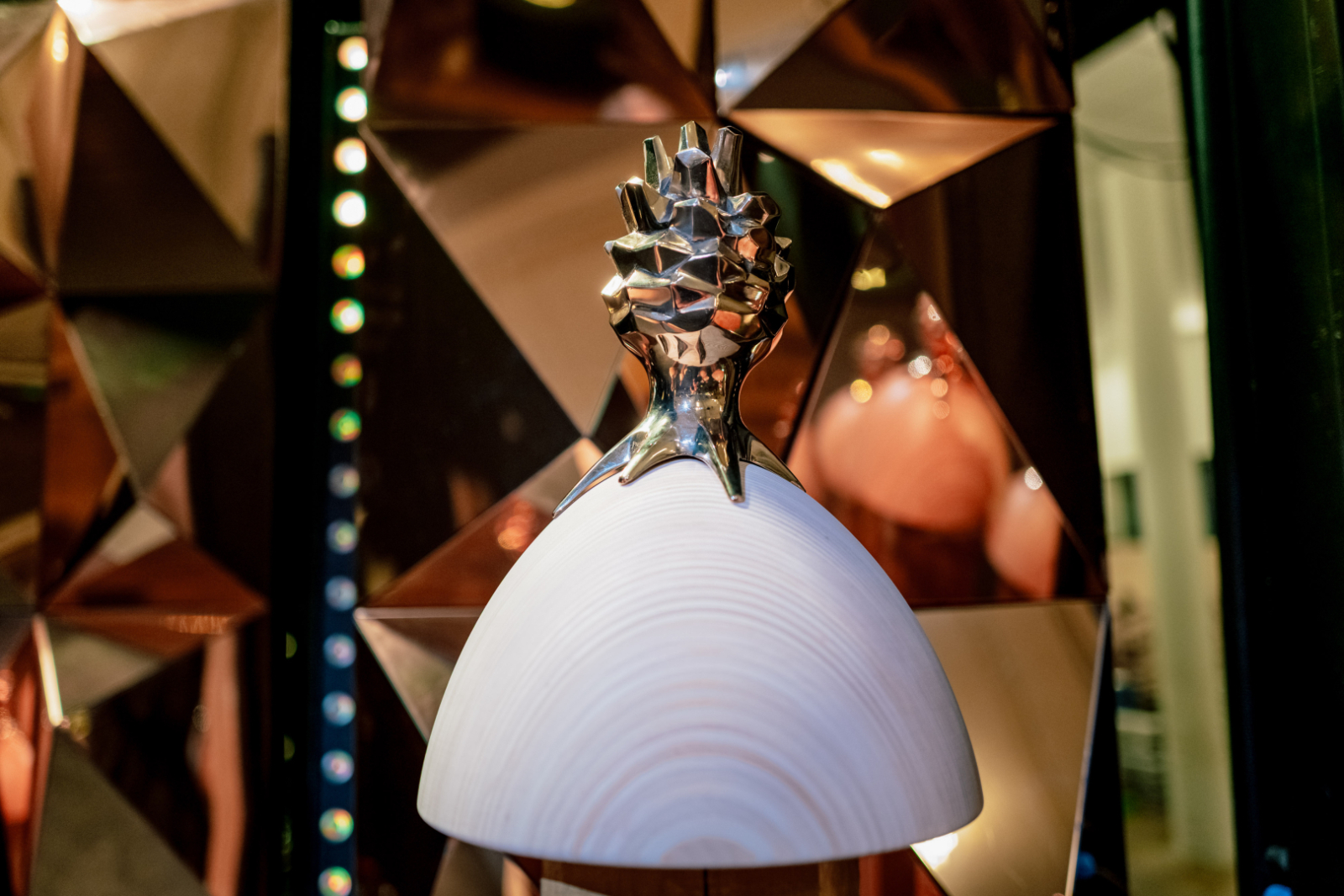 Meža nozares Gada balvas “Zelta čiekurs 2025” apbalvošanas ceremonijas foto