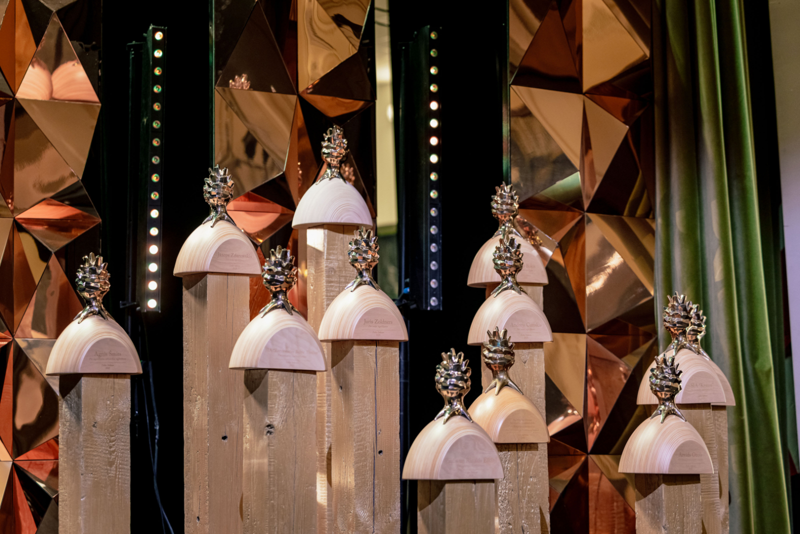 Meža nozares Gada balvas “Zelta čiekurs 2025” apbalvošanas ceremonijas foto