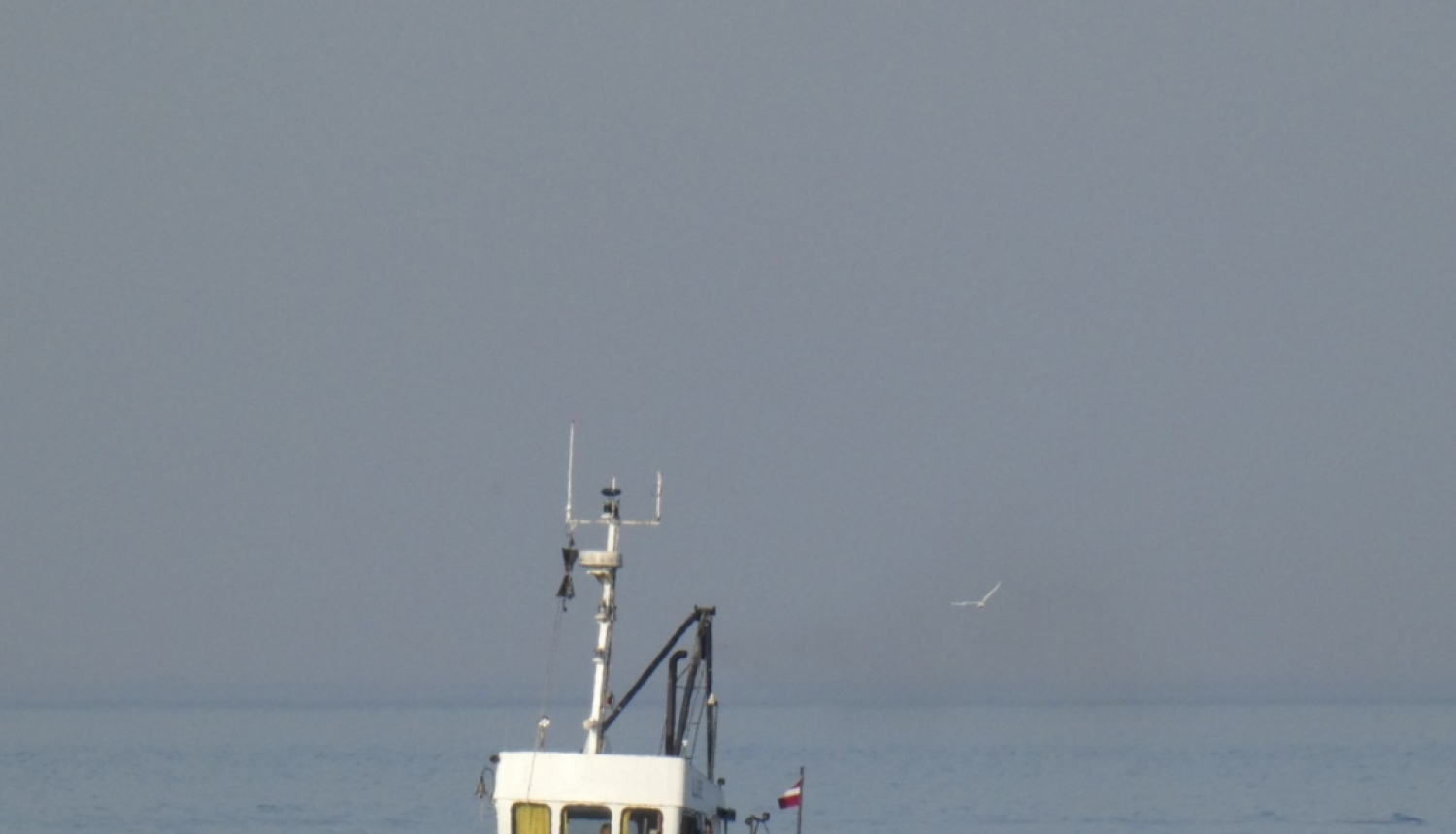 Dalībvalstis Briselē lems par zvejas tiesībām ES un citos ūdeņos