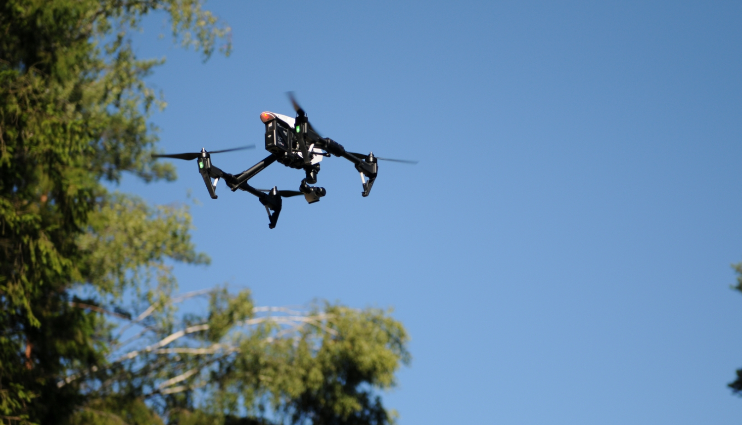 Drons virs meža