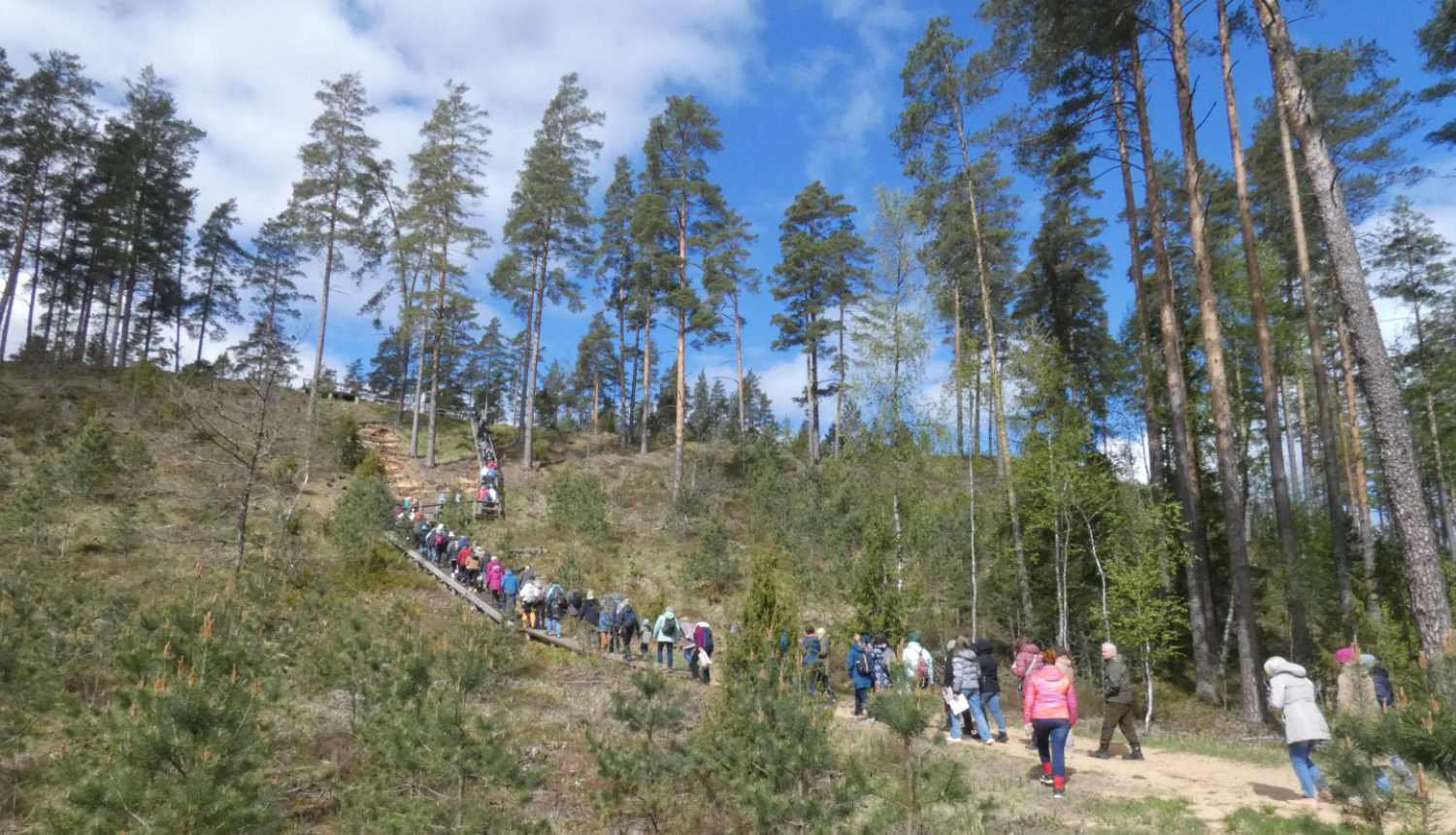 Cilvēku grupa zosu gājienā pa taku kāpj stāvā kāpā
