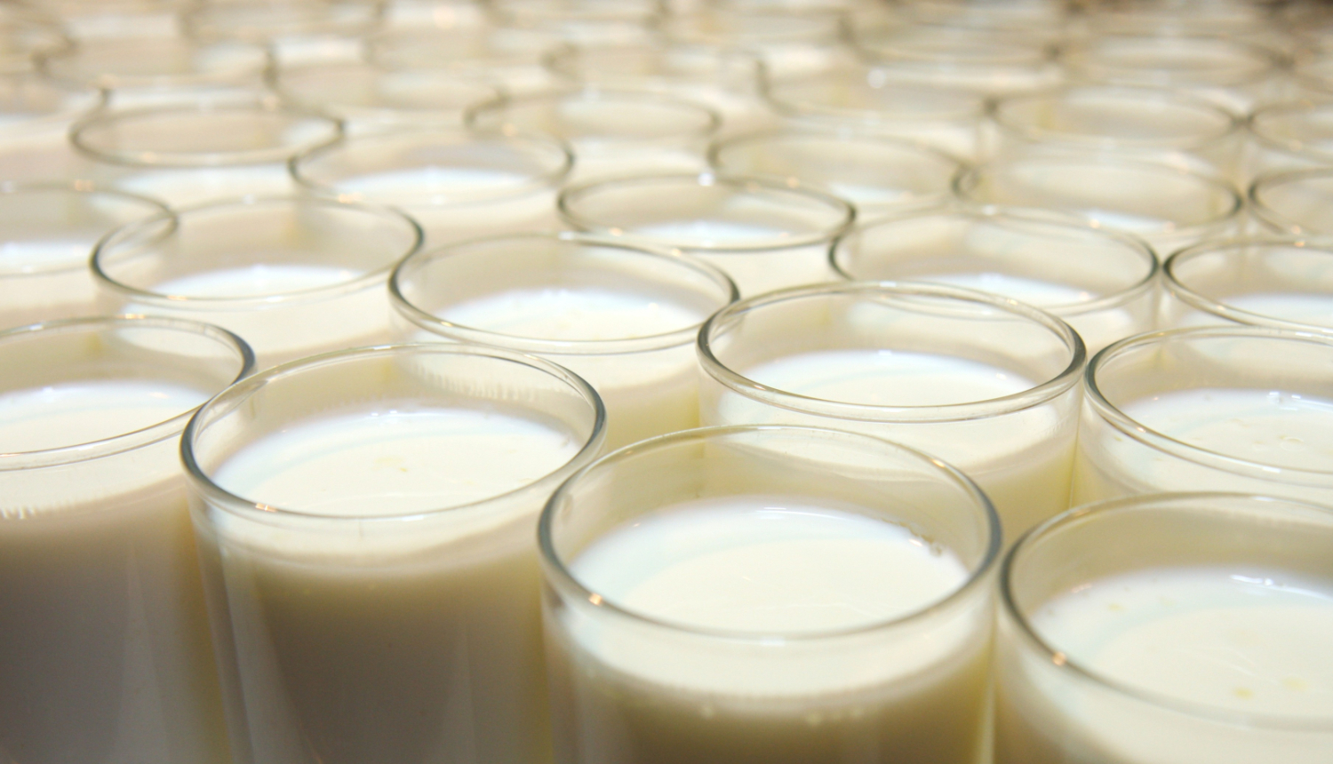 Daudz stikla glāzes ar pienu