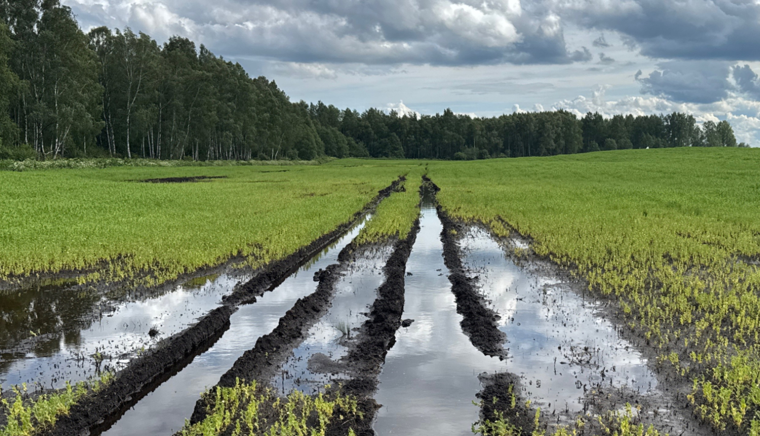 Izbraukātas riepu pēdas slapjā laukā