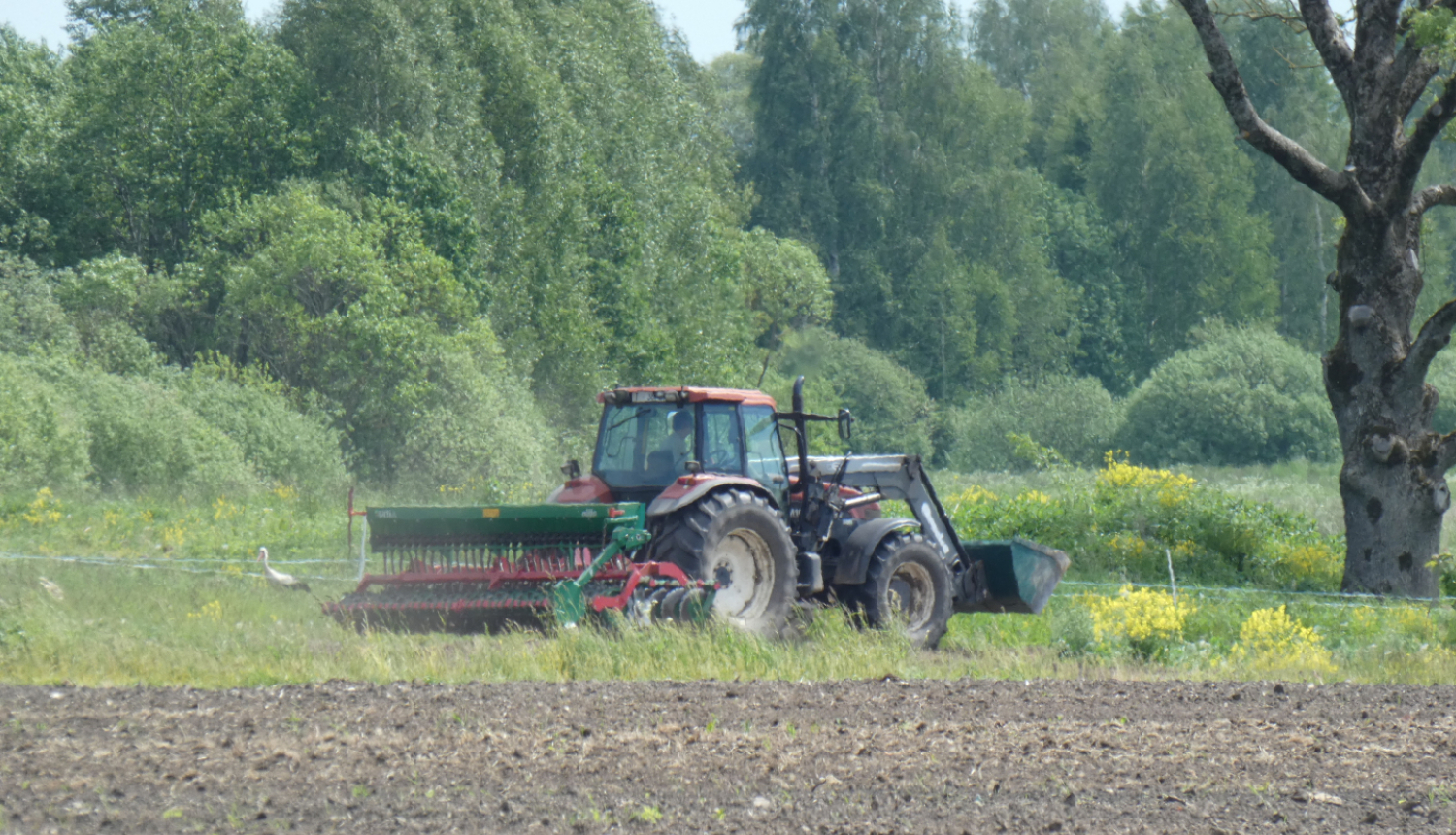 Traktors ar sējmašīnu pavasara sējā tīrumā. 