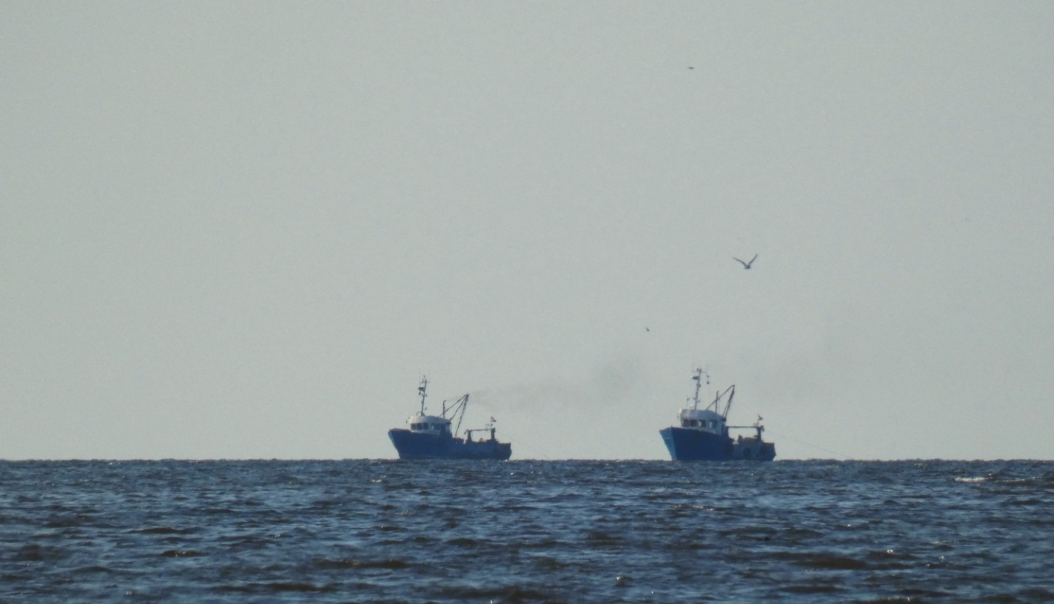 Zvejas kuģi tālu jūrā pie horizonta 