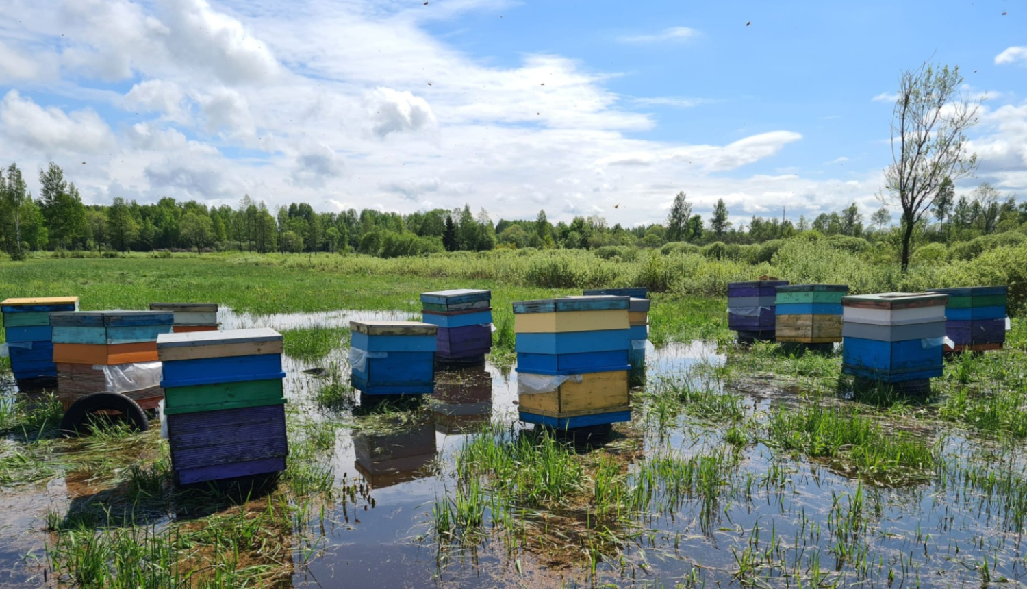 Bišu stropli ūdenī, plūdi dravā 