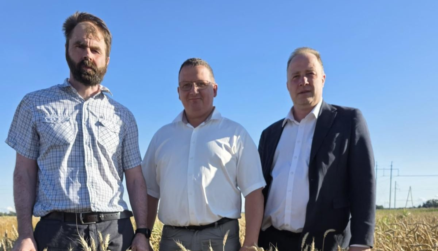 Ģ. Krūmiņš un L, Sisenis graudu laukā.