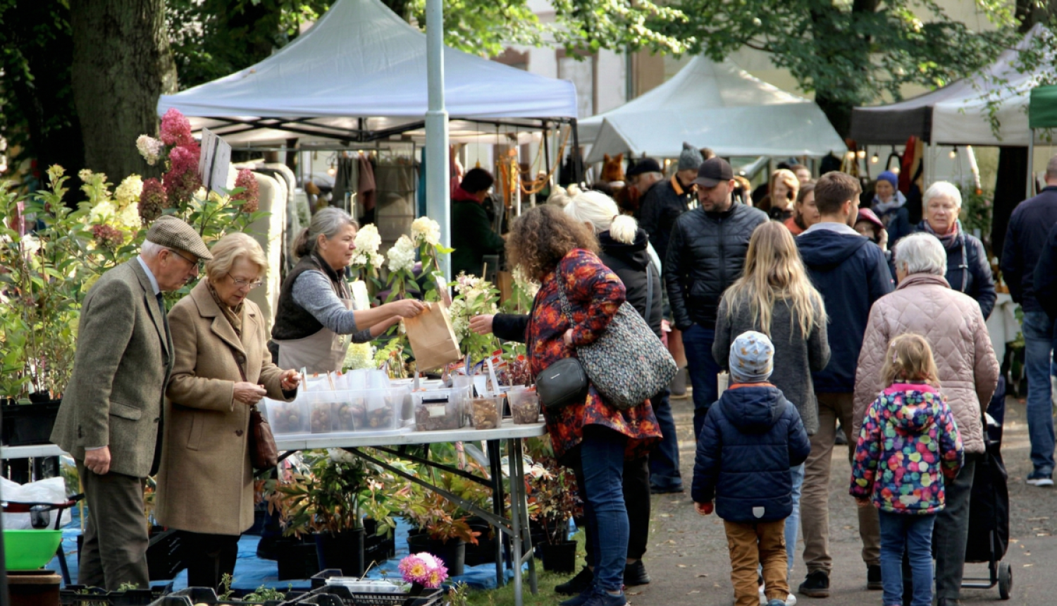 Attēlā redzams stādu tirdziņš Bulduru tehnikumā