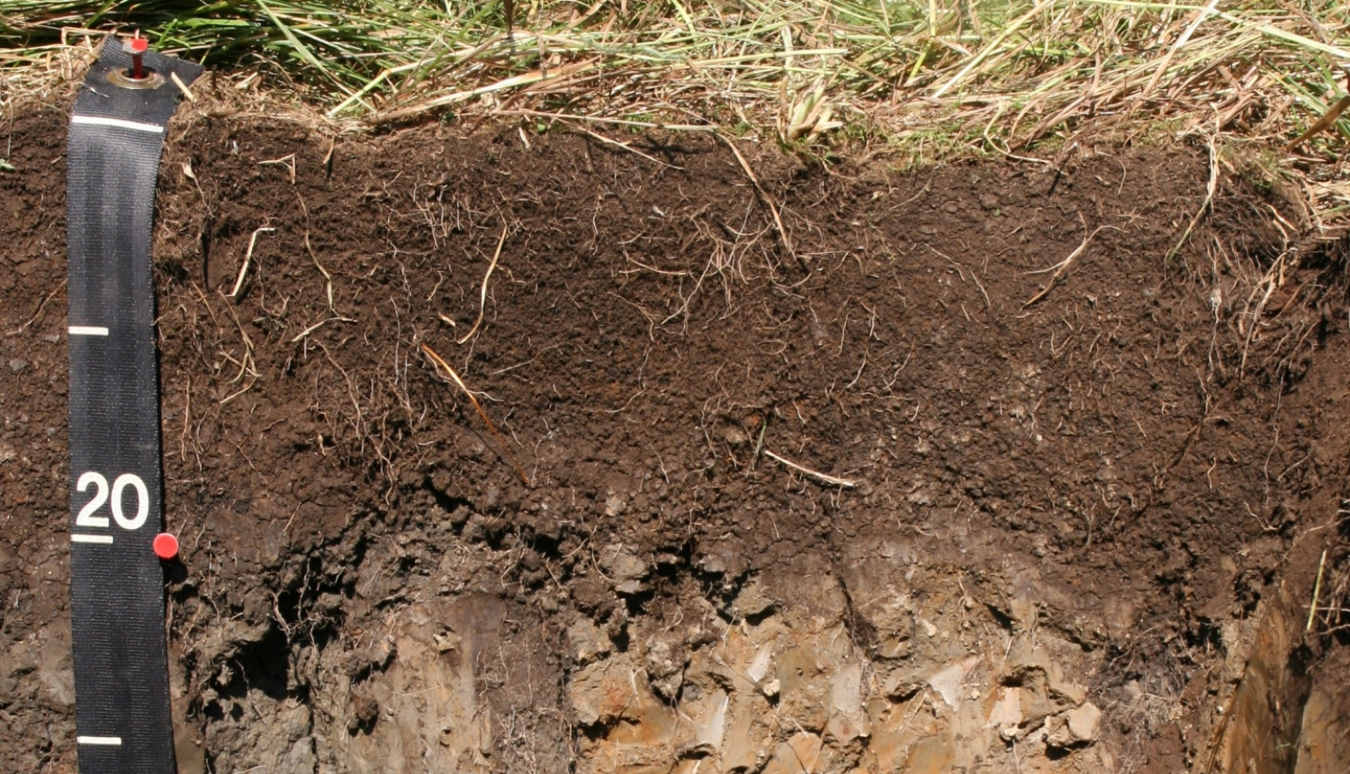 Kudraugsne_rakums_ainava