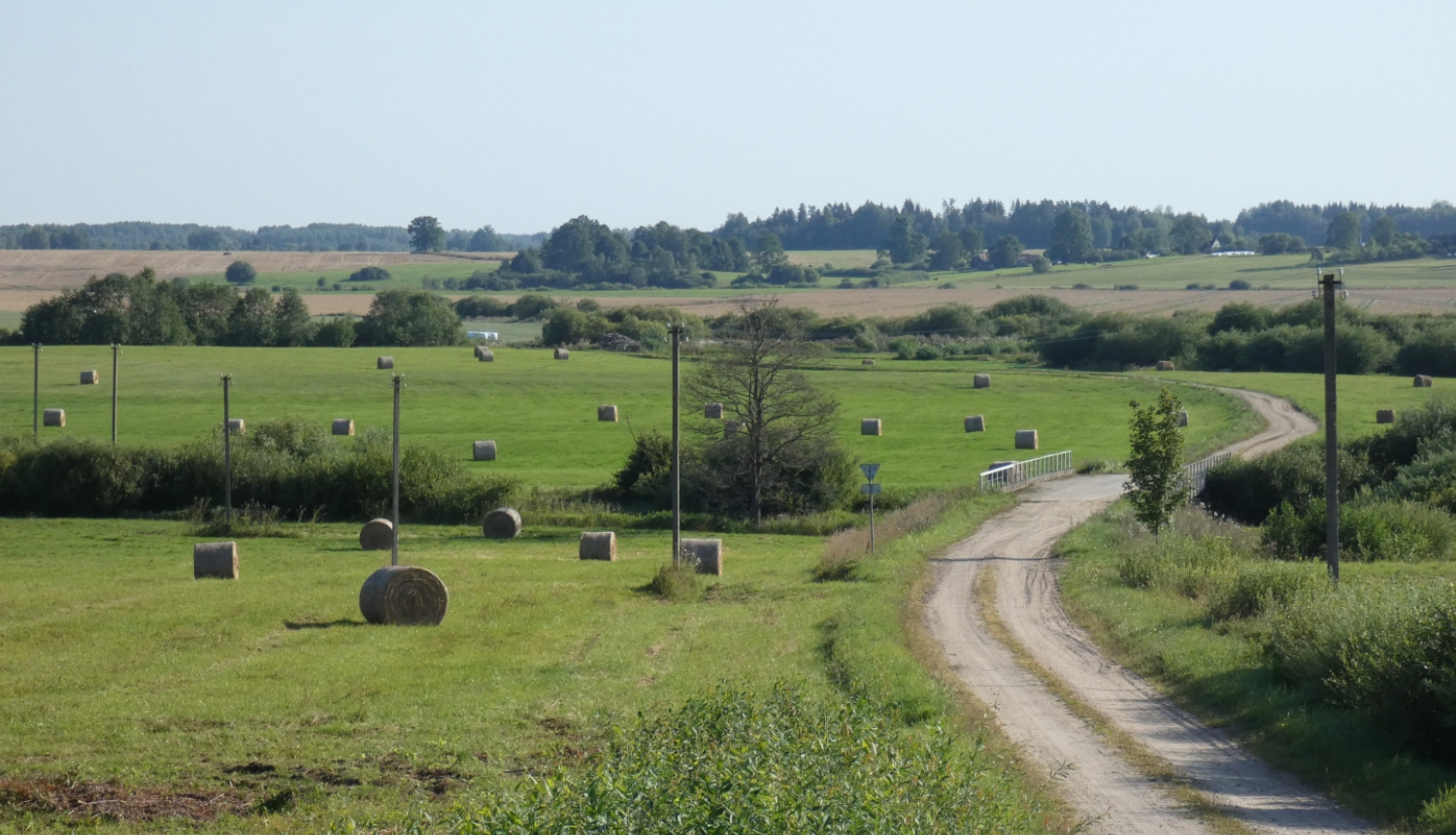 Mozaīkveida lauksaimnieciskā ainava vasarā ar nelielām druvām, pļavām, ganībām, zemnieku sētu un lauku ceļu pāri Susējas upei