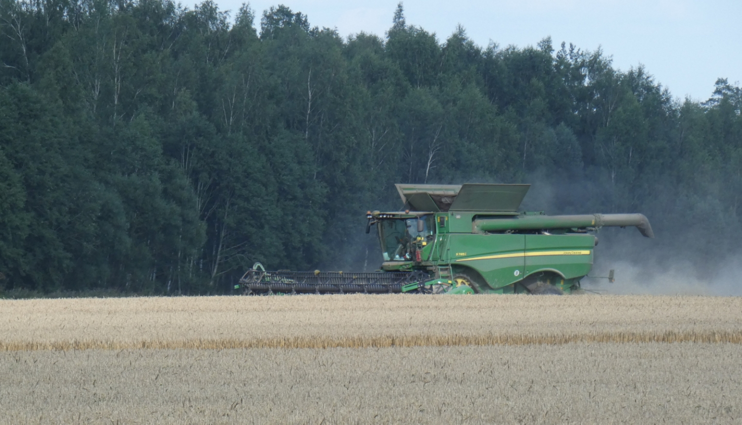 kombains kuļ labību tīrumā