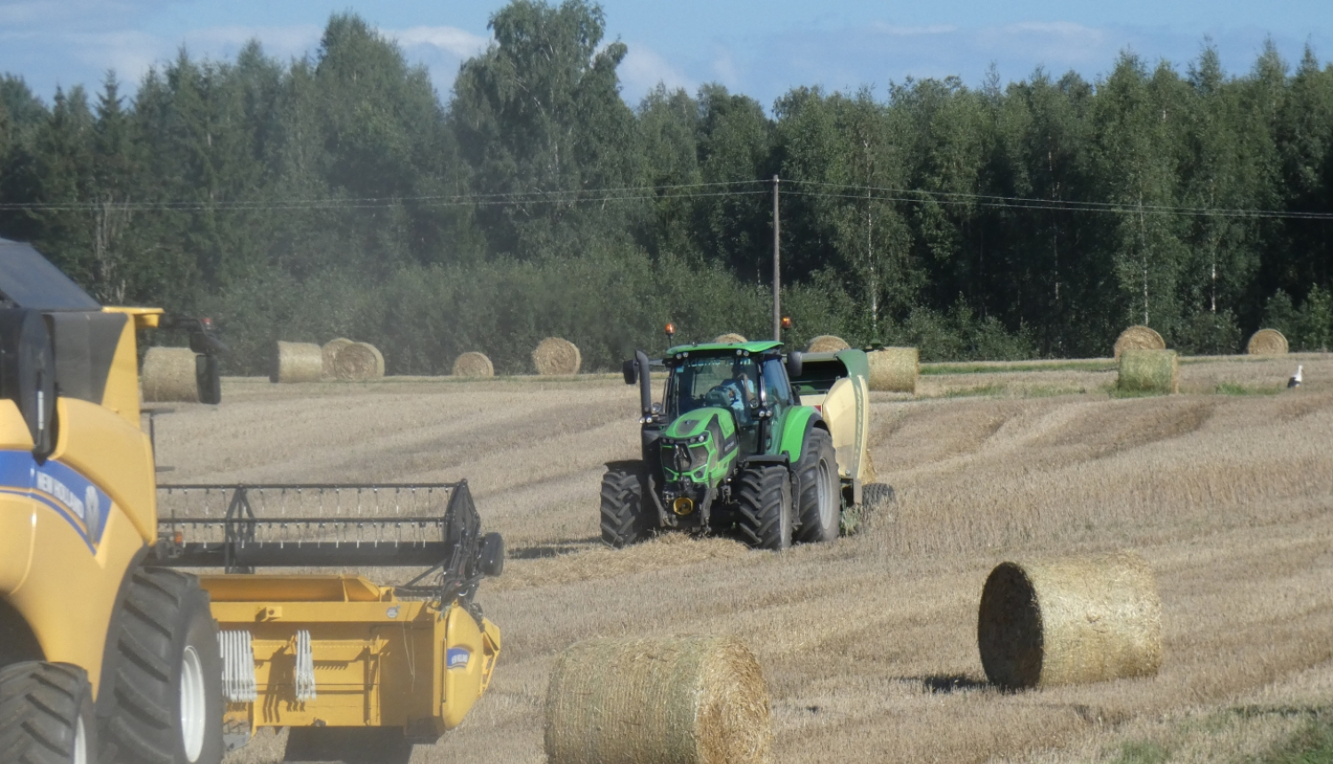 labības novākšana tīrumā - kombains kuļ, blakus traktors - salmu ruļļotājs