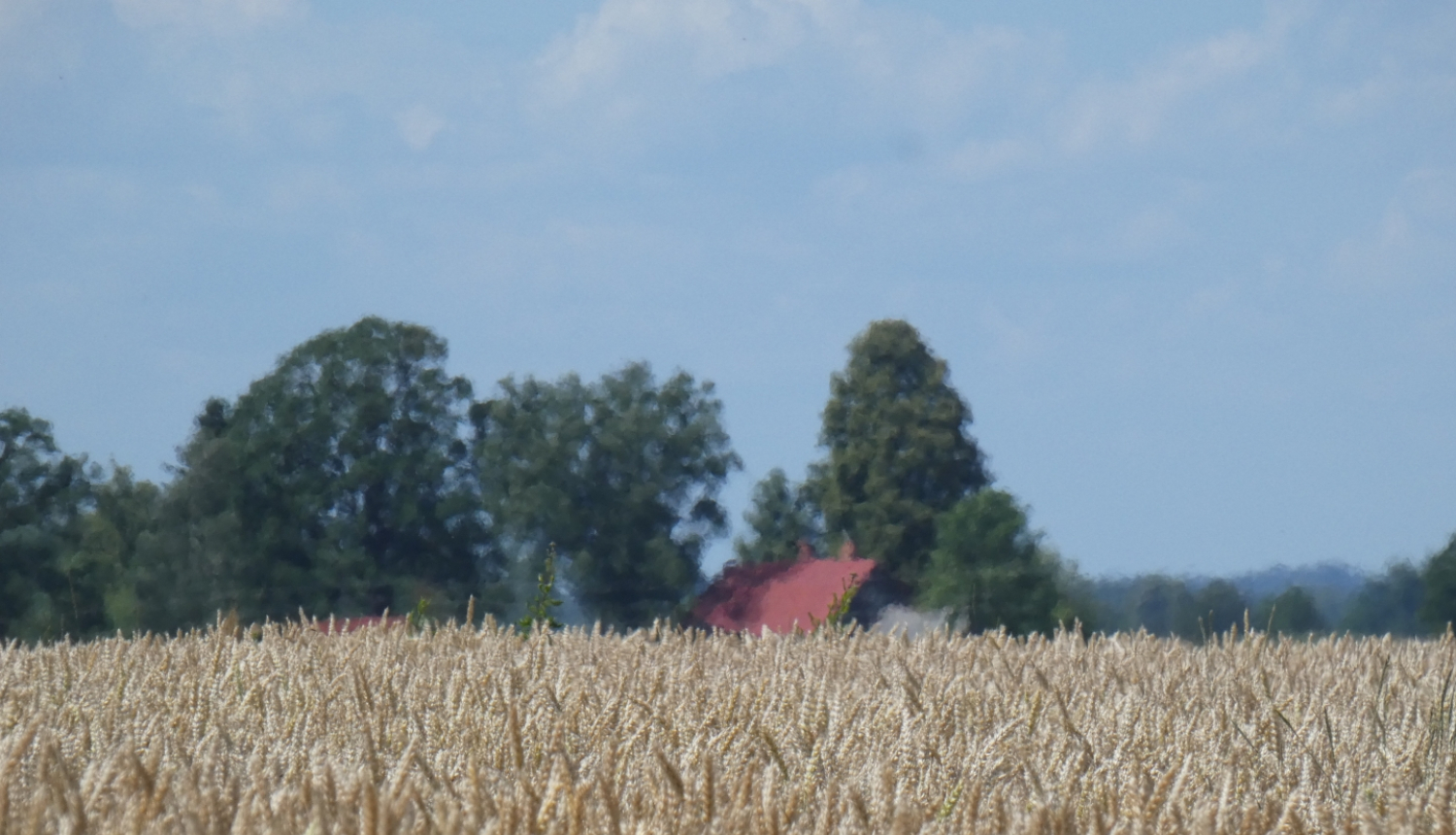 Saimniecība un lauks