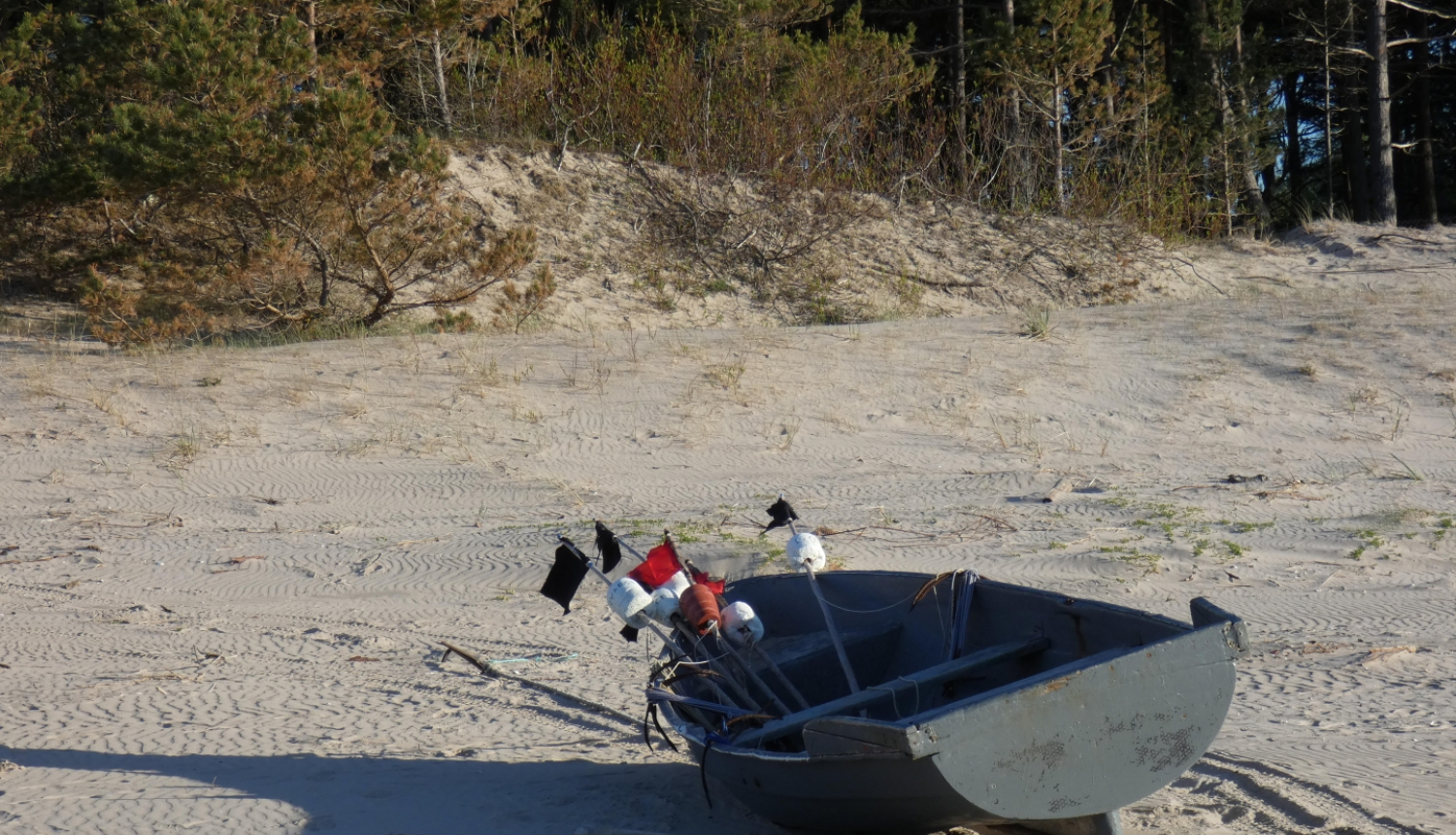 Zvejnieki velk laivu