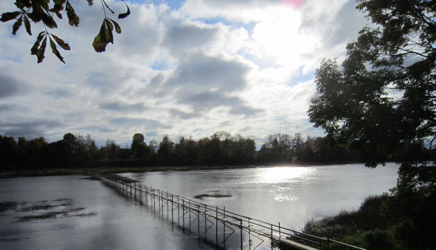 Salacgrīvas nēģu Tacis