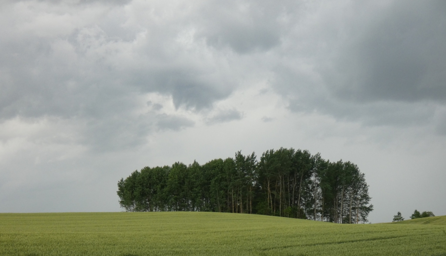 tiesibu_aktu_izmainas2023