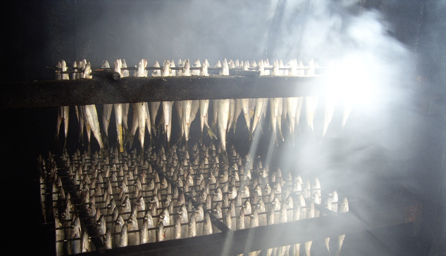 Reņģes kūpinātavā 