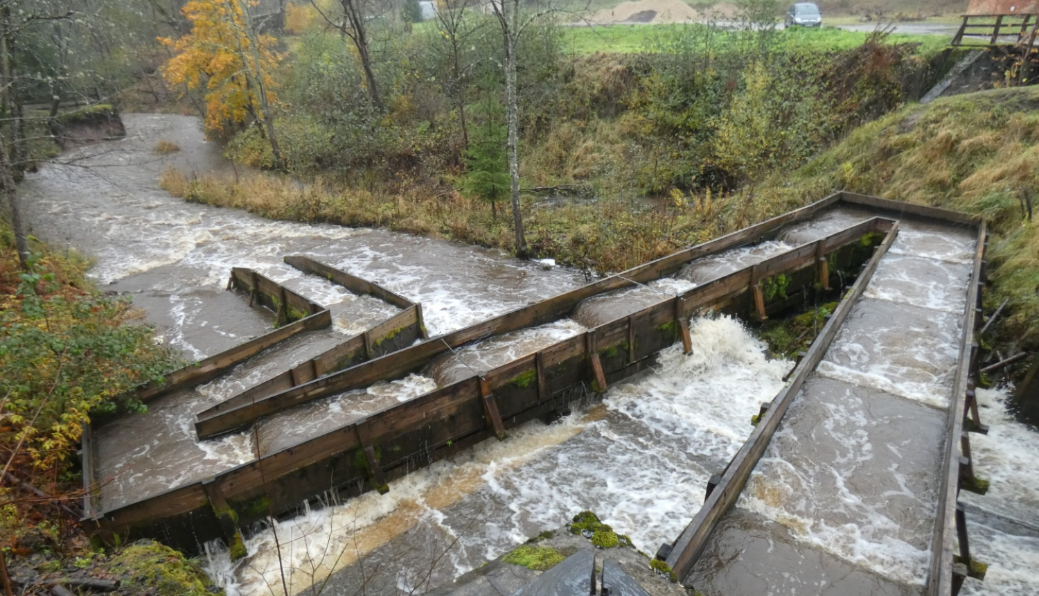 Zivju migrācijas ceļš