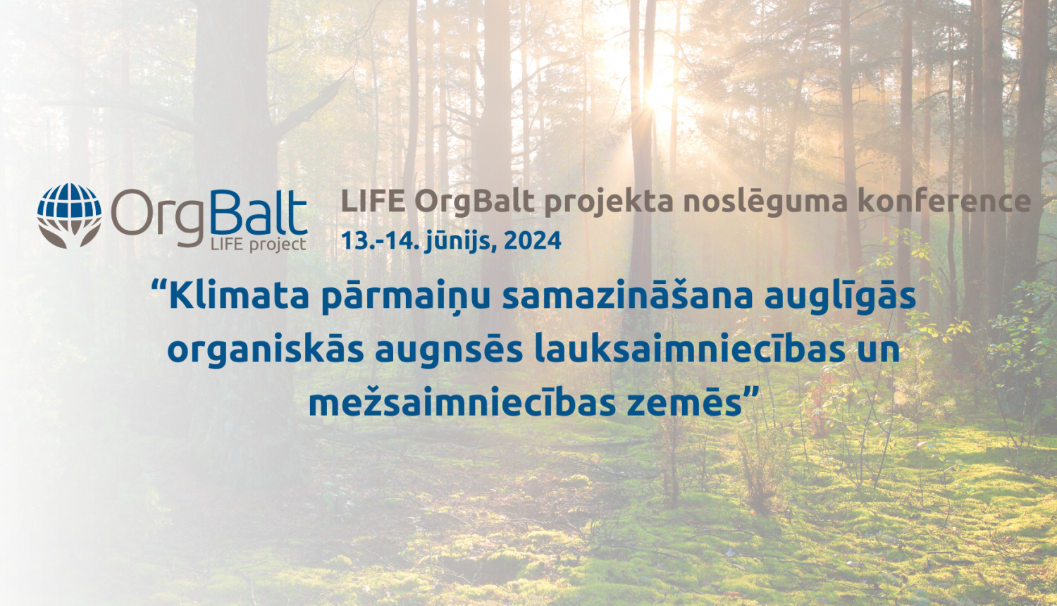 Orgbalt konference
