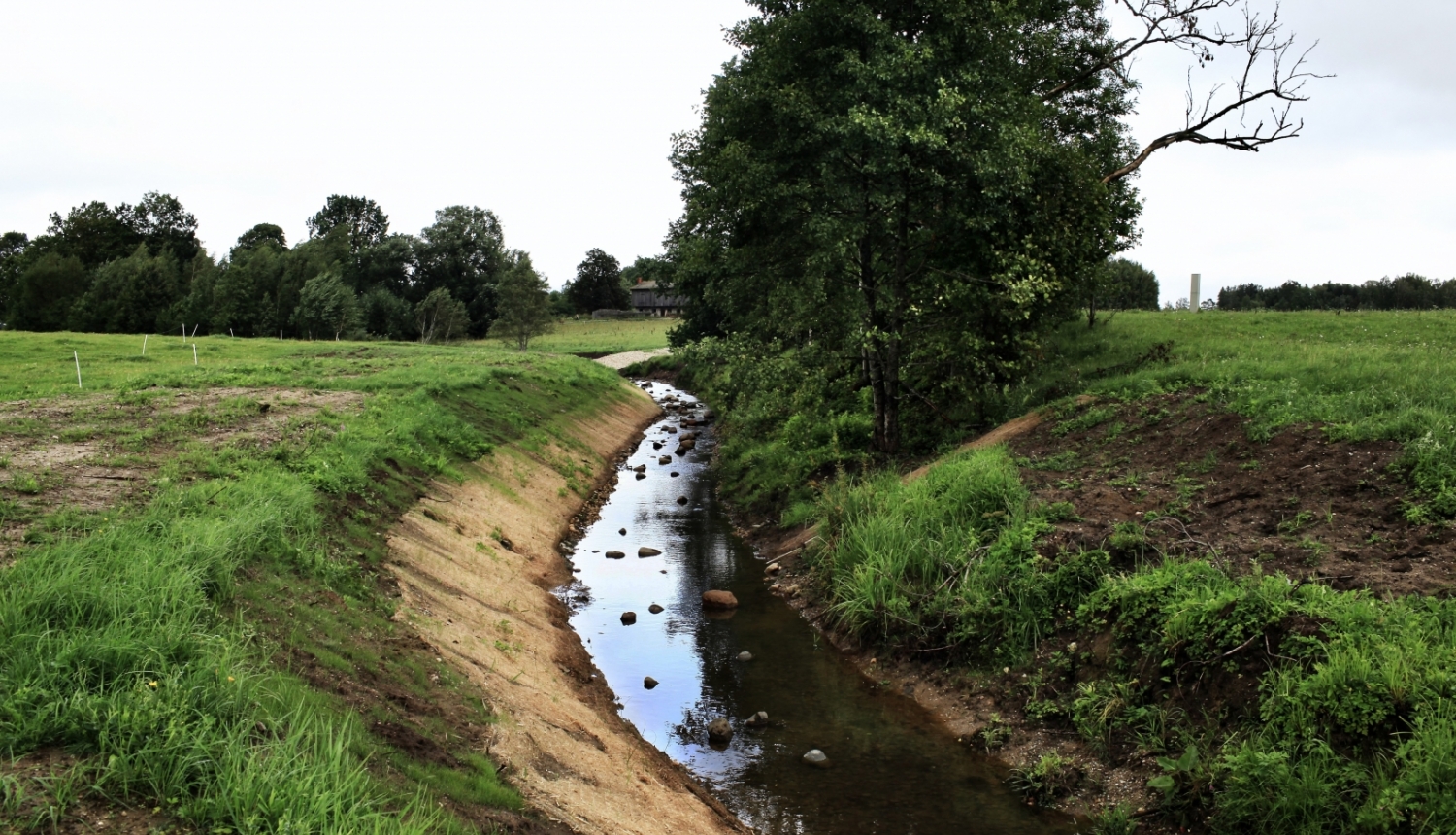 Revitalizētā Mazupīte Limbažu novada Skultes pagastā. Agrārainavā redzama upītes gultne ar akmeņiem tajā un starujteci.