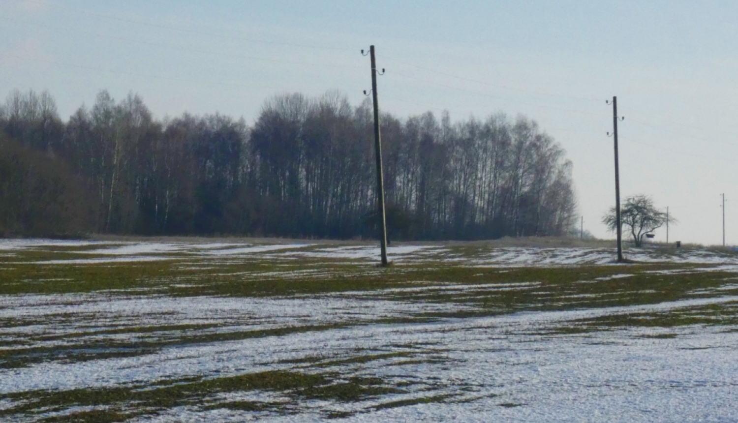 Lauks ziemā