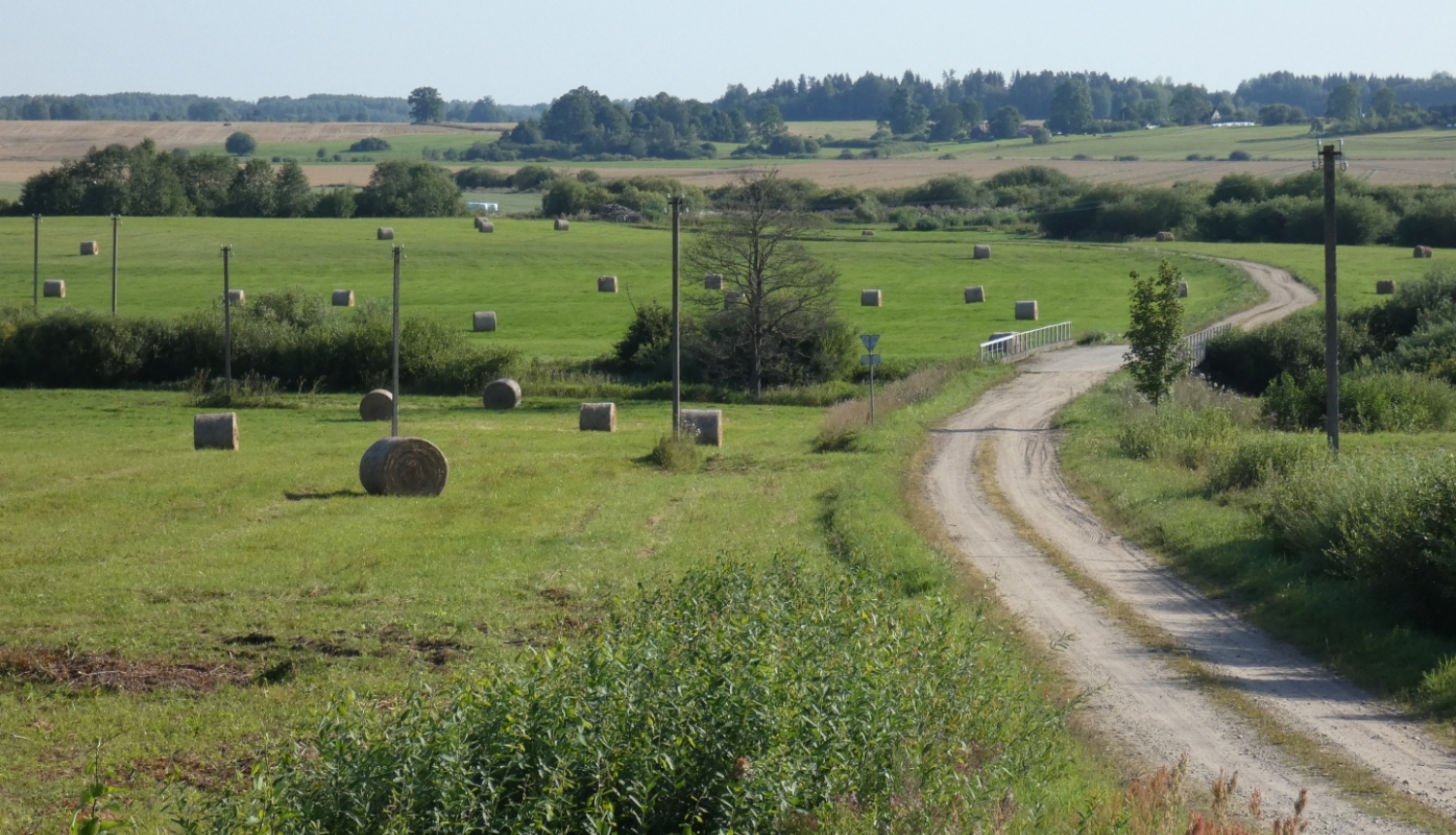 Mozaīkveida lauksaimnieciskā ainava vasarā ar nelielām druvām, pļavām, ganībām, zemnieku sētu un lauku ceļu pāri Susējas upei