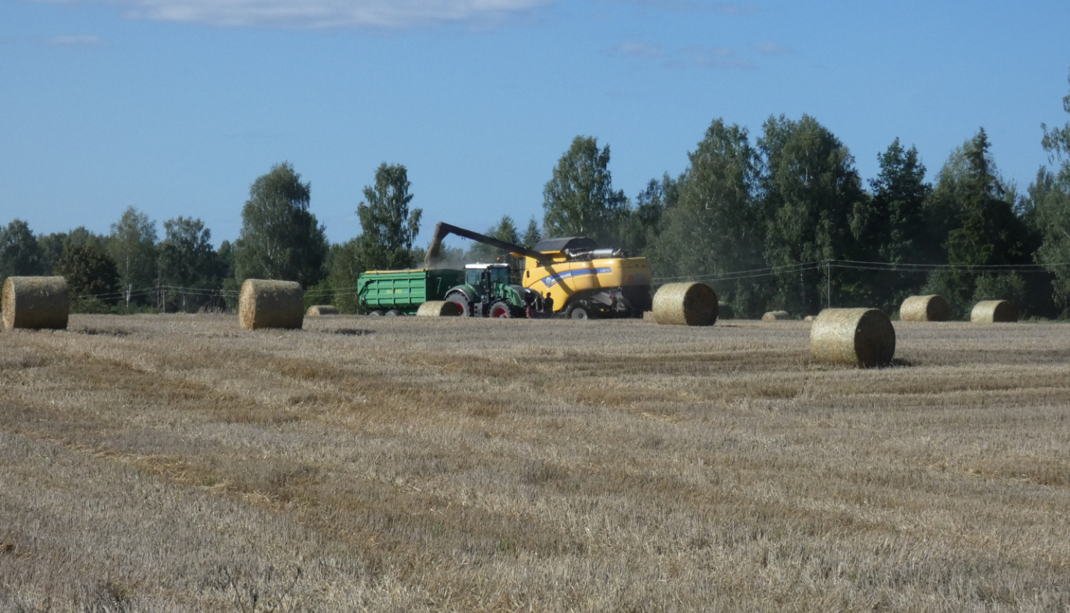 Ruļļo salmus uz lauka tehnika